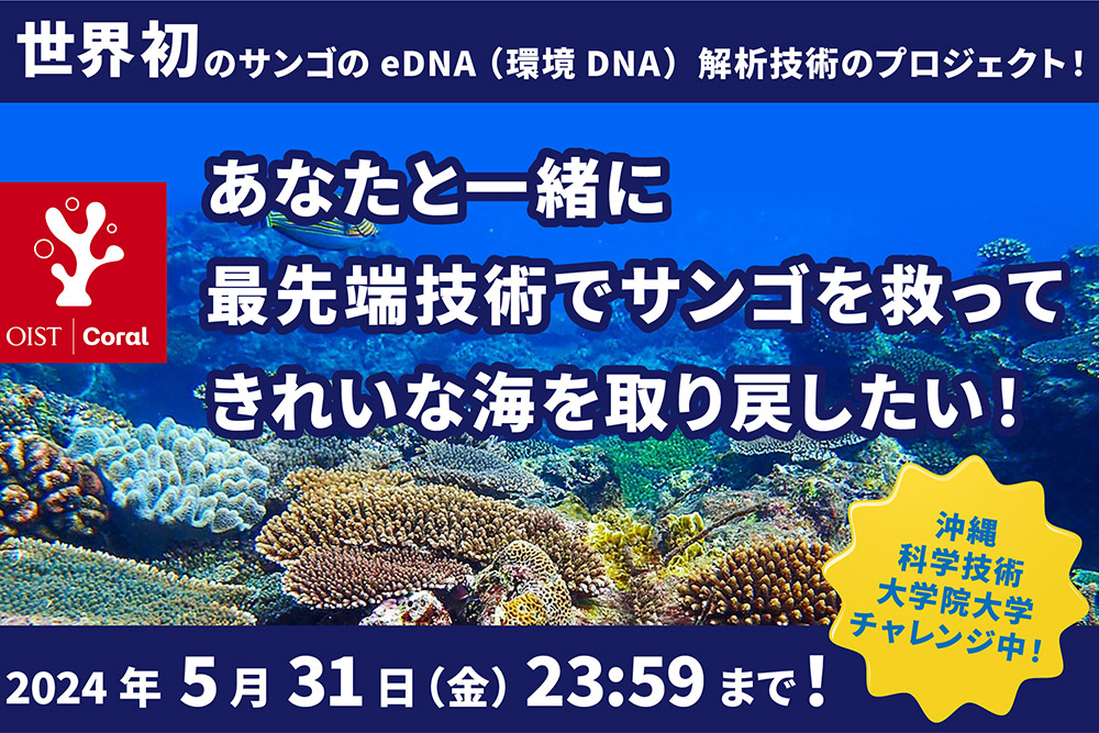 あなたと一緒に最先端技術でサンゴを救ってきれいな海を取り戻したい！